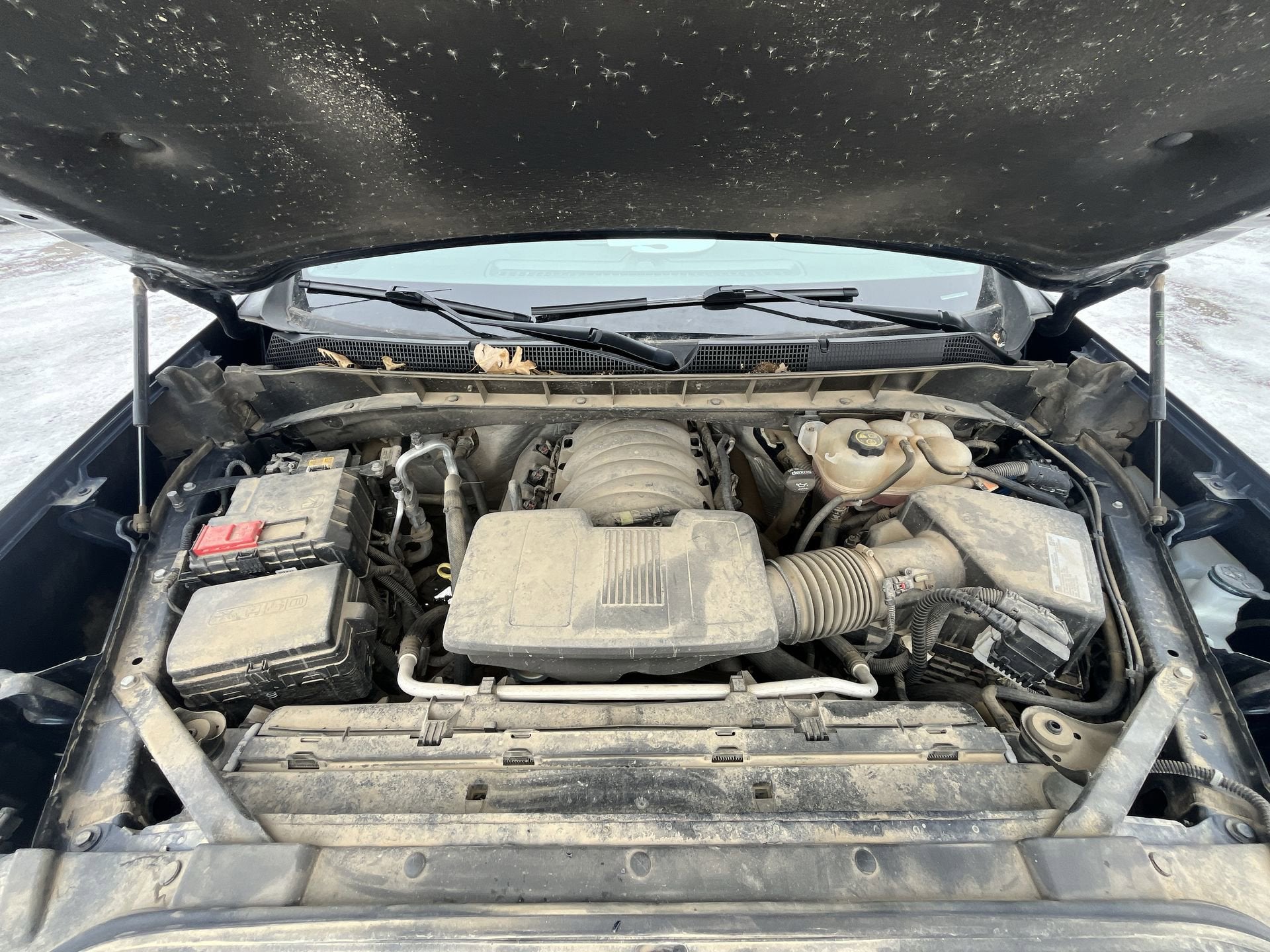 2021 Chevrolet Silverado 1500 Crew Cab Short Box 4-Wheel Drive LT Trail Boss