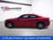 2015 Dodge Charger 4dr Sdn SXT AWD