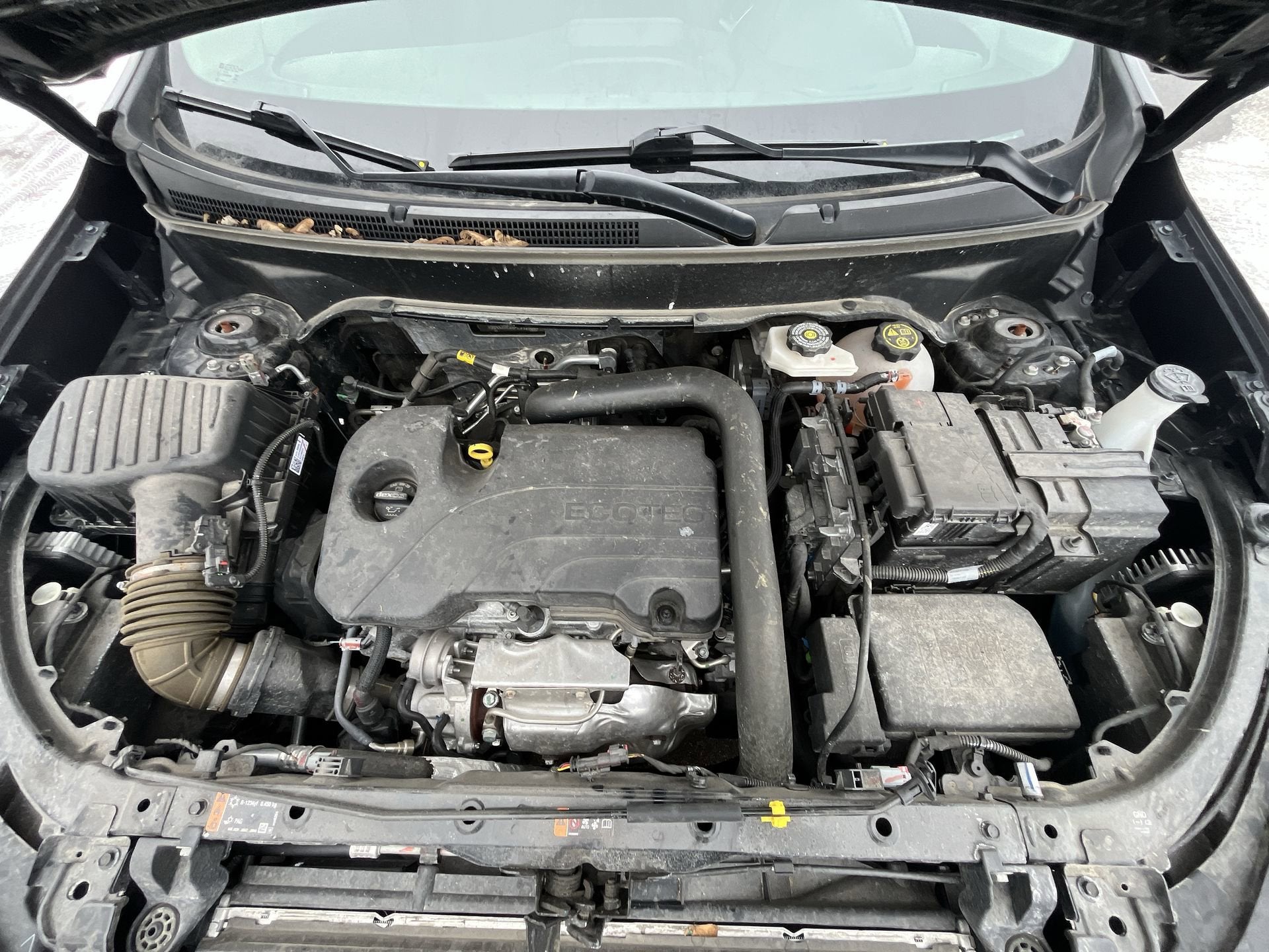 2023 Chevrolet Equinox AWD 4dr LT w/1LT