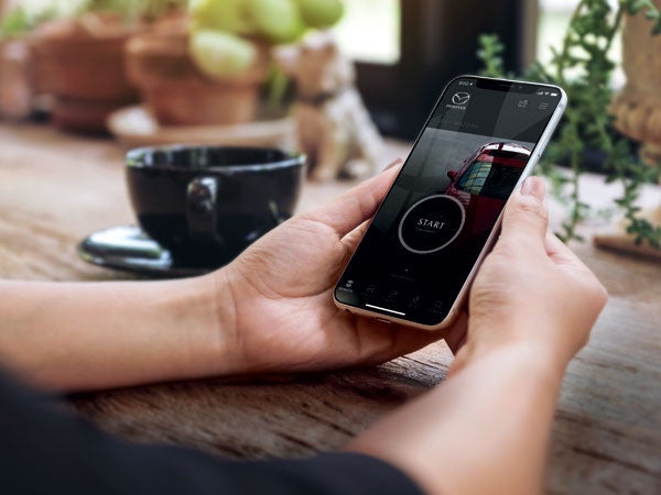 Alexandria Mazda in Alexandria MN