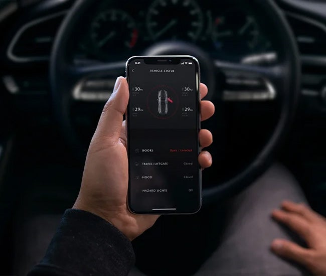 Alexandria Mazda in Alexandria MN